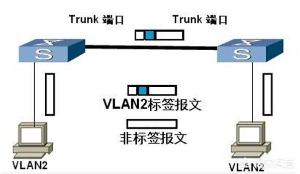 三层交换机可实现多个VLAN之间通信，该如何使用VLAN间的端口模式？-第3张图片-深圳弱电安装公司|深圳弱电安装工程|深圳弱电系统集成-【众番科技】